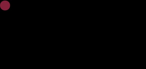 iLead Institute